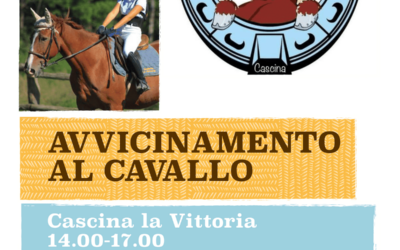 Avvicinamento al cavallo