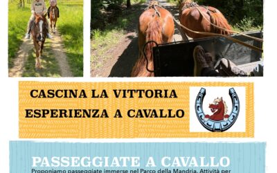 Esperienza a cavallo